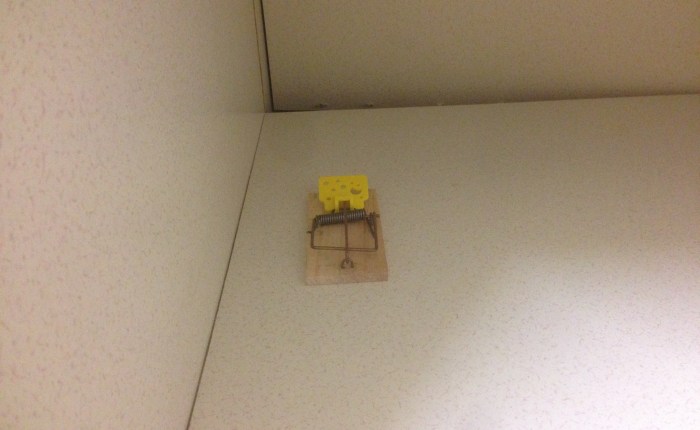 Of Mice and Men…Men Trying to&nbsp;Write